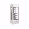 Framec glasdeur koelkast - Venere PS Green White