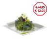 Assiette 23x23cm