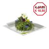 Assiette 31x31cm