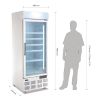 Congelador exhibidor polar - 420 litros - GH506