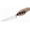 Deglon Sabatier Kochmesser 20,5 cm
