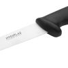 Faca de filetar Hygiplas 15cm preta