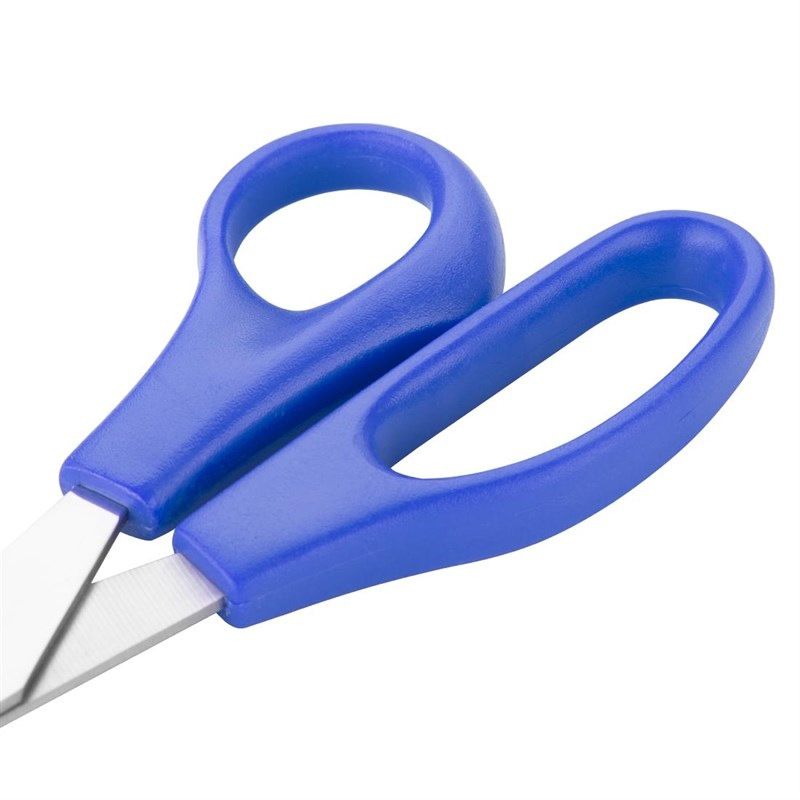 Tijeras de c&oacute;digo de color Hygiplas azul