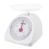 Weighstation diet scale 0.5 kg