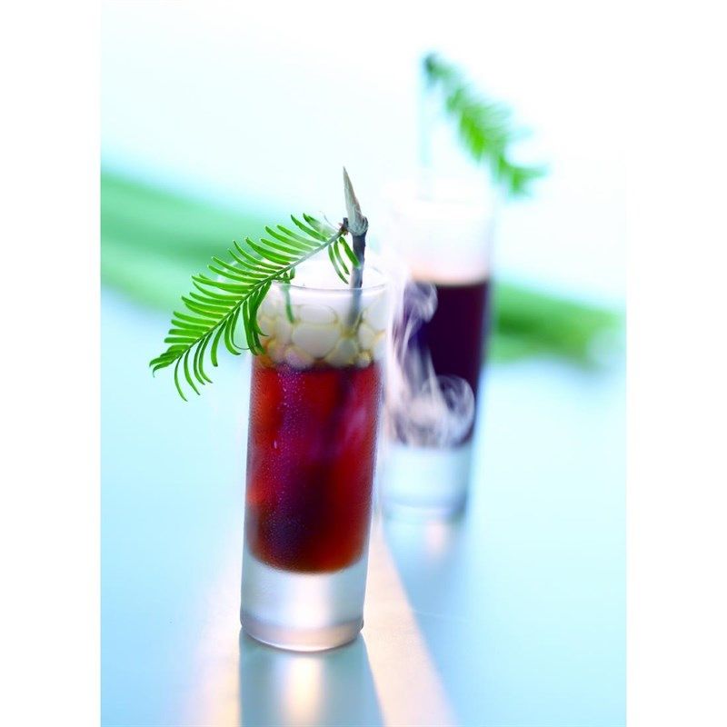 Arcoroc Islande shotglazen 6cl