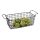 Cesta buffet Pujadas GN1/3