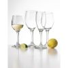 Bicchieri da champagne Olympia Solar - 170 ml (24 pezzi)