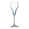Arcoroc Verres &agrave; champagne Brio 160 ml (24 pi&egrave;ces)