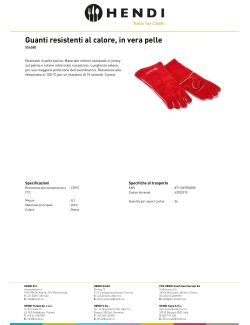 Documento