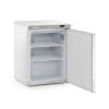 Arktic vrieskast RVS Budget Line - 200L