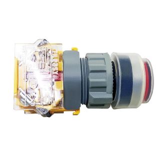 Buffalo red button (CH423)