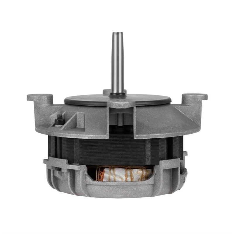 Buffalo variable speed motor
