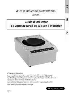 Manuel de l'Utilisateur