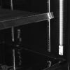 NordCap Gefrierschrank mit Glast&uuml;r ATOM MAXI 1T-BB